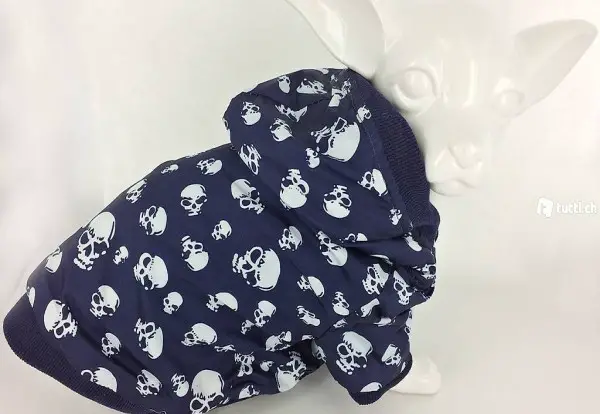  F+M SKULL Winterjacke mittlere Hunde Gr.XL