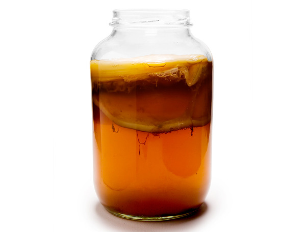 Kombucha Teepilz BIO: Gut und gesund