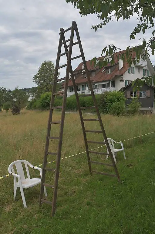 Alte antike hohe Holzleiter Bockleiter Obstleiter Mobi 3A