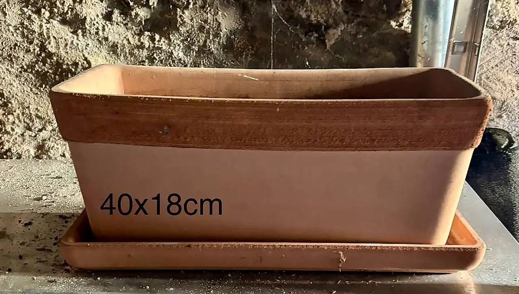 Blumenkasten für Fensterbank Blumentopf