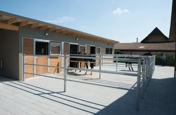 Pferdestall mit 3 Boxen und grossem Auslauf zu vermieten