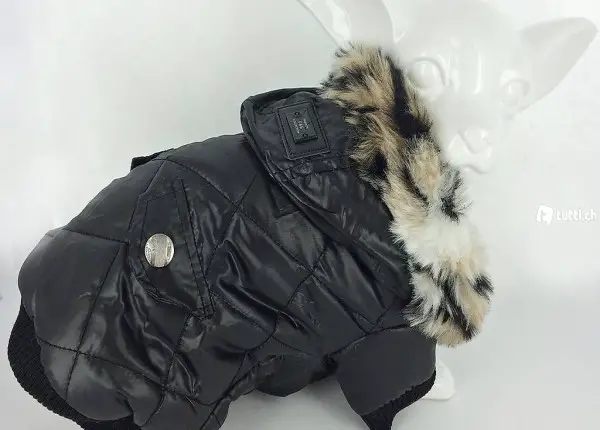  F+M Winterjacke CLASSIC schwarz für chihuahua Gr.L