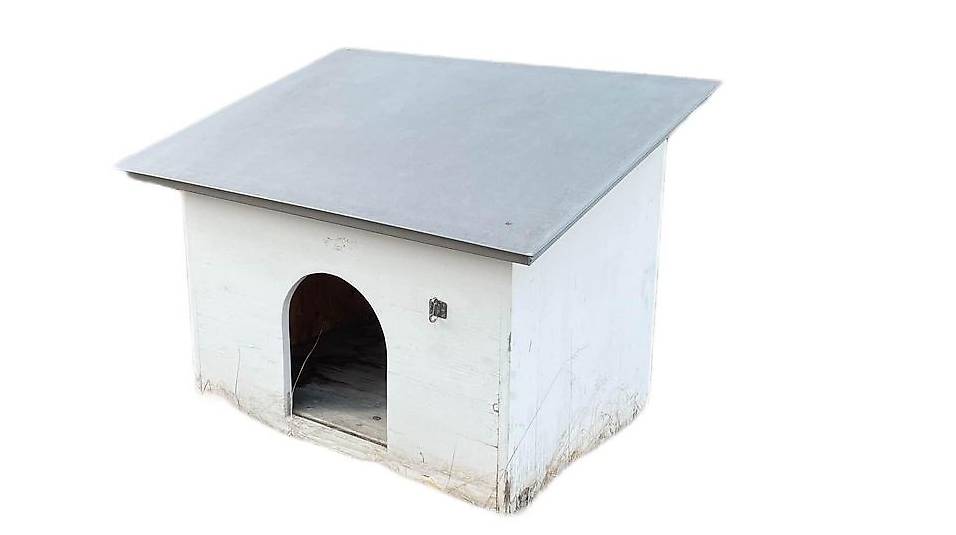 Hundehütte
