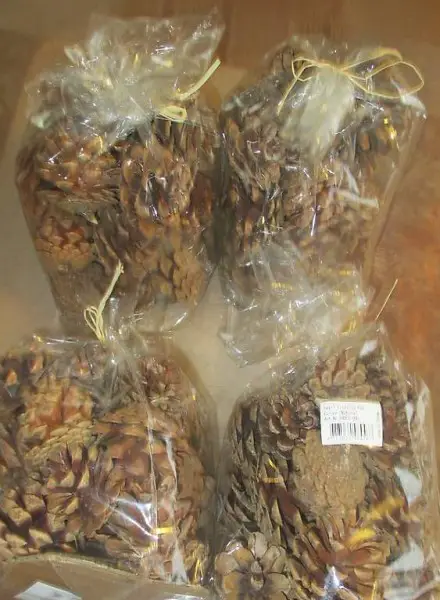 ZAPFENMIX- 4-ER SET-SMALL-PINNECONNE BAG