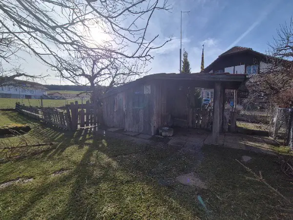 Suchen 2-3 Zwergziegen Böckli