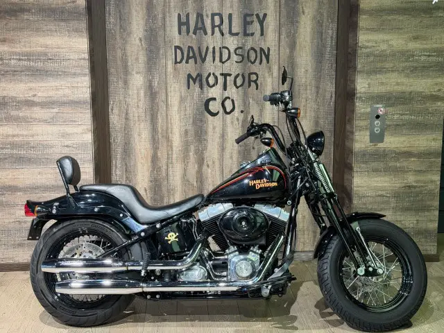 harley-davidson flstsb 1584 softail x-bones