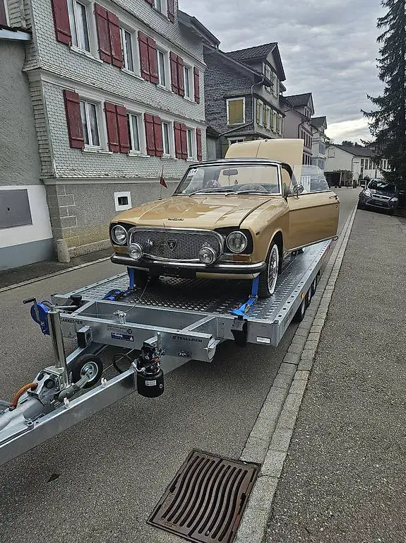 Autotransport, Lieferwagen usw..
