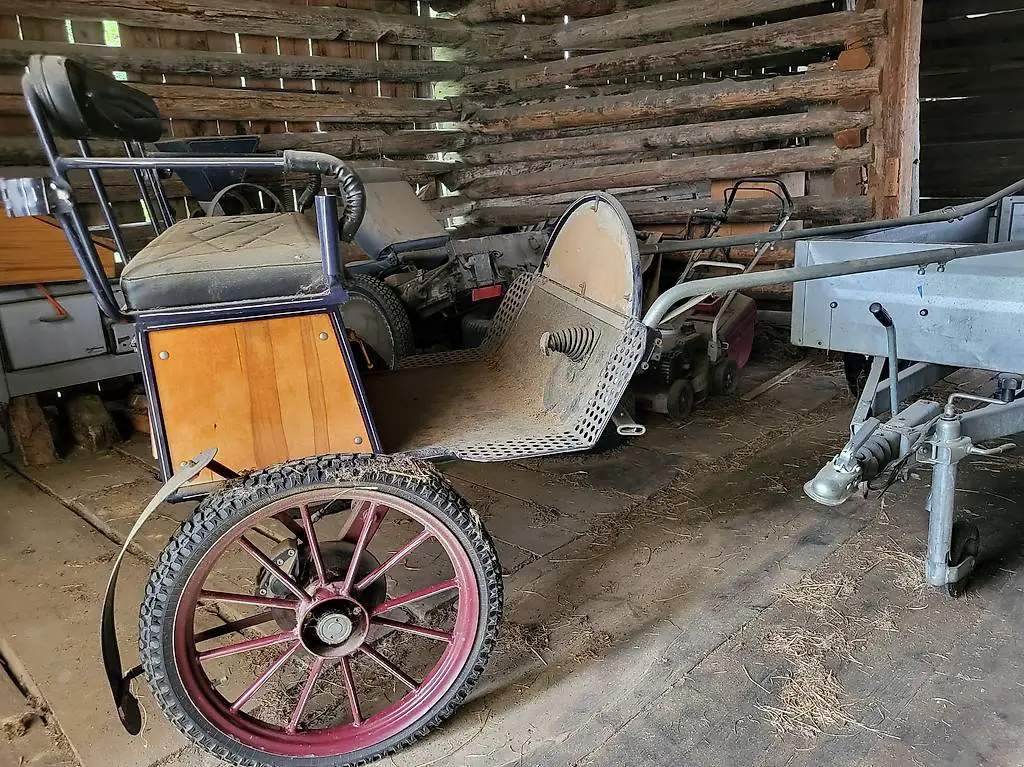 Schöne Sulky / moderne einfache Kutsche