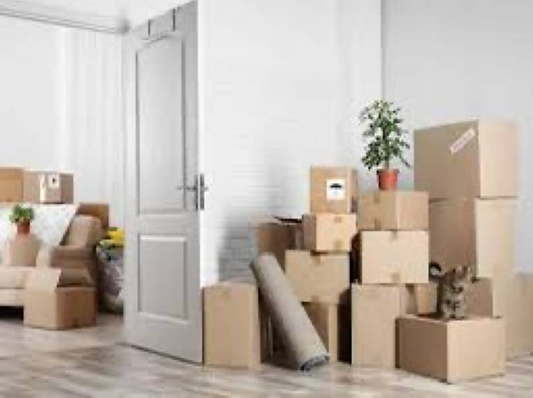 Umzug, Transport, Entsorgung