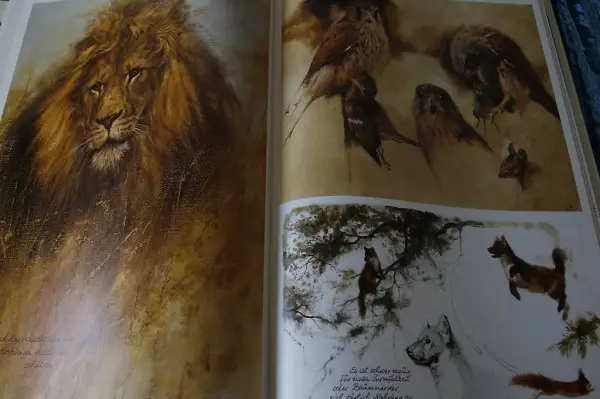 DIE ARCHE NOAH (Bildband)