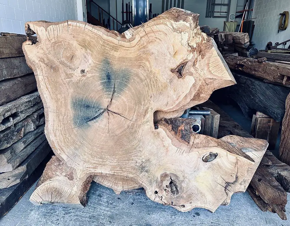 Baumscheibe, Eiche, Tisch, Eichenplatte, Massivholz, Holz