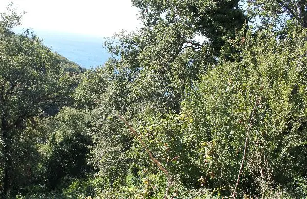 Erschlossener Baugrund. ab 400m2 Meer 1400m. Meerblick