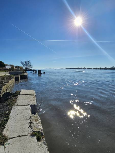 Retraité actif et dynamique.