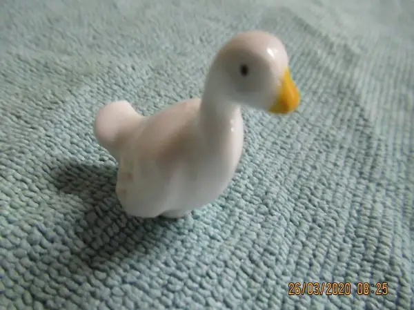  Gans, GANS , weisse Gans, von der Allzeit beliebten