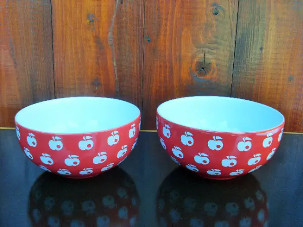 2 Bols en porcelaine de la marque Familia Bircher Müesli