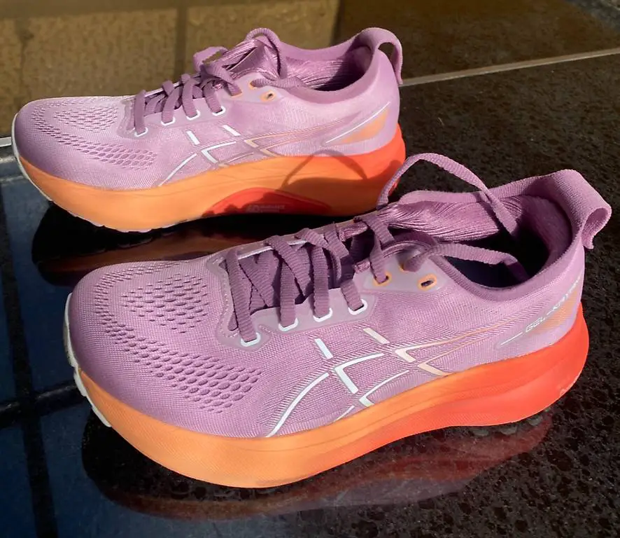 Laufschuh Asics Gel-Kayano 31