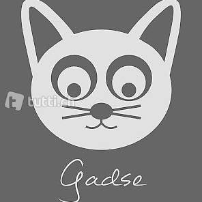 Katzensitter / Cat Sitting Birseck (BL)