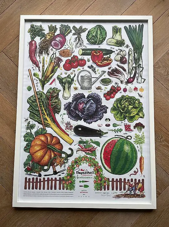 Bild / Poster, Gemüsegarten, von Benjamin Güdel