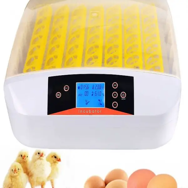  56 Eier Inkubator Vollautomatische Flächenbrüter