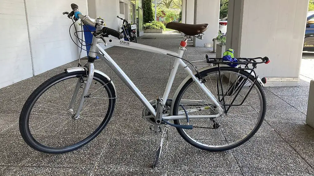 Velo/Fahrrad Villiger Top Zustand