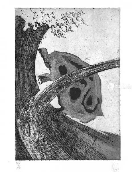  Nag Arnoldi - Della Tortuca