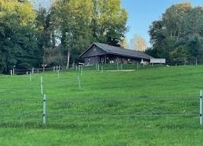 Pferde Offenstall mit TOP Infrastruktur ZU VERKAUFEN