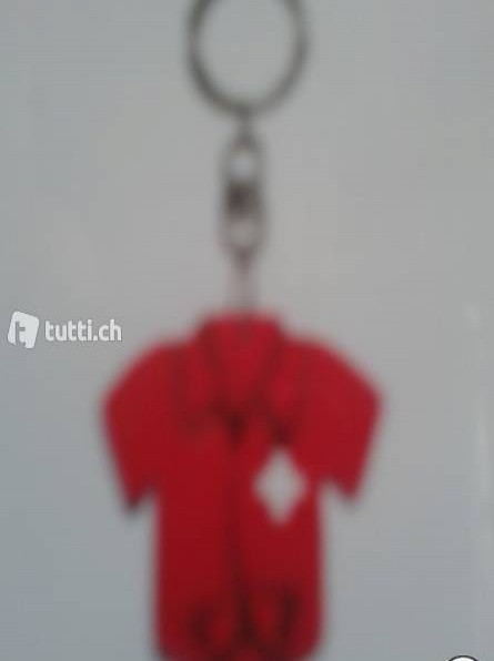 Schlüsselanhänger Schweiz (Handarbeit)