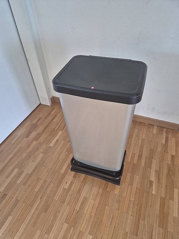 Rotho Abfalleimer 40l