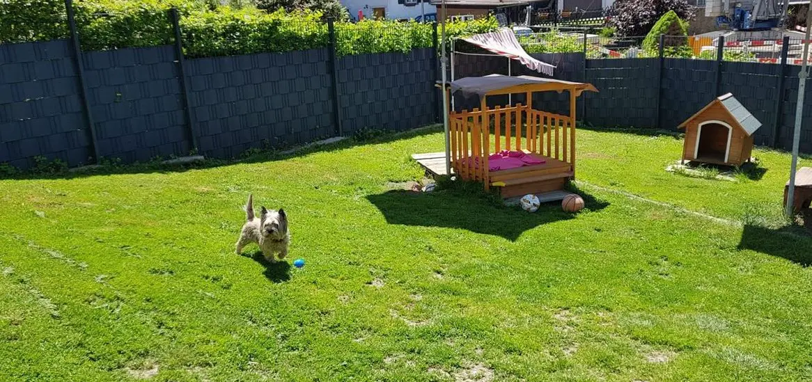 Hundepension, Ferienhund, Tageshund, Hundebetreuung, Hundeschule