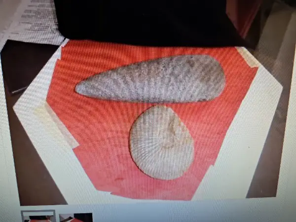 Vecchia ascia, periodo neolitico