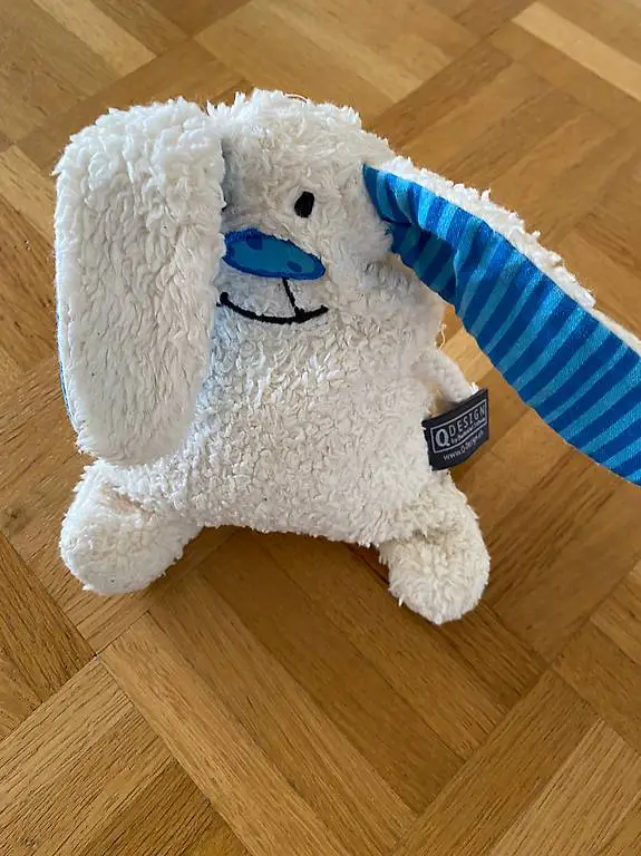 Hase mit Kirschenkernen