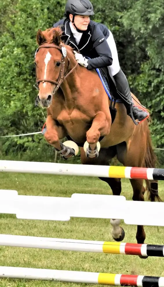 Reitunterricht und Beritt / Korrektur in Guntmadingen SH