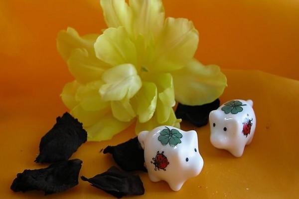 10 traditionelle Glückssäuli