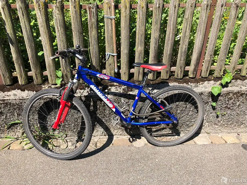 Kinder Mountainbike (S)