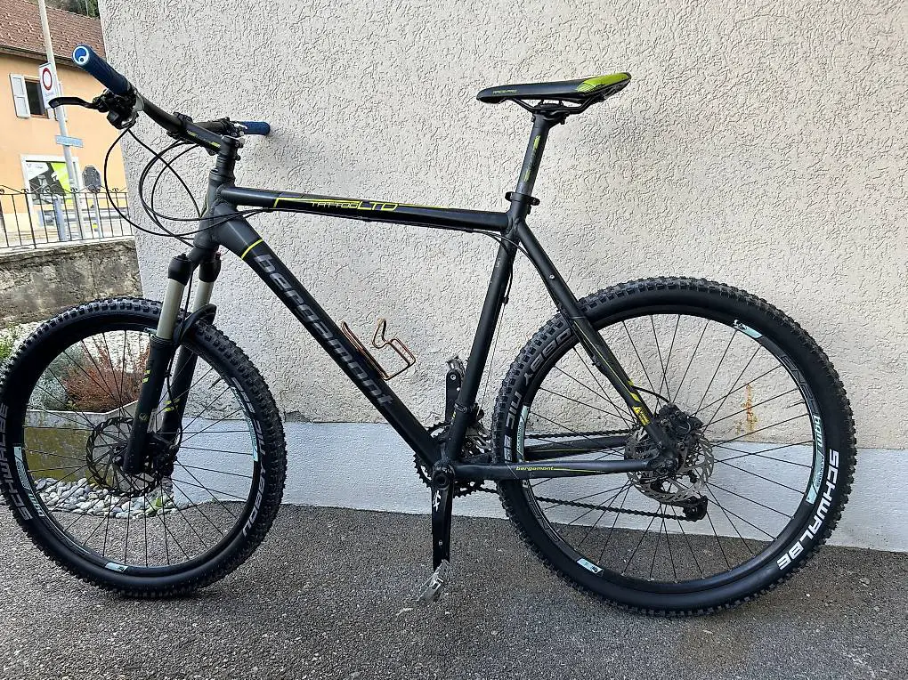 Bergamont tattoo Ltd 26"