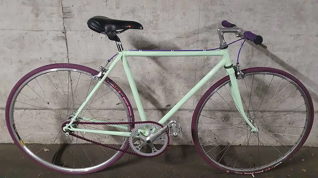 Fixie mit freilauf und fixem gang rahmen 50cm