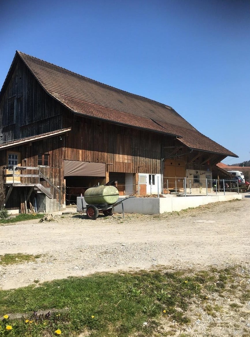 Auslaufboxen in Privatstall am Greifensee