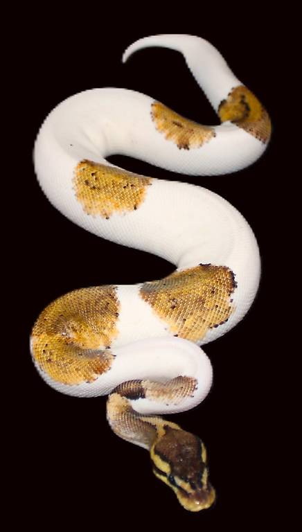 0.1 Sandblast, Black Pastel