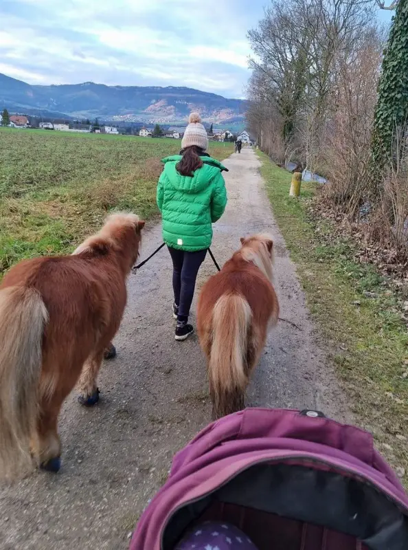 Suche Reitbeteiligung im Raum Lüterkofen SO