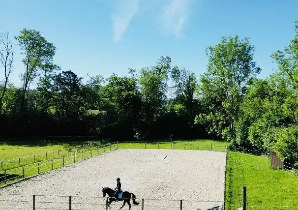 Freie Einstellplätze in kleinem Privatstall im Thurgau