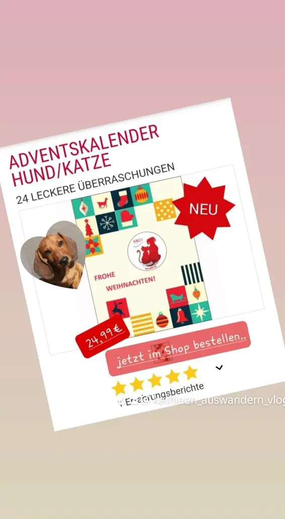 Adventskalender Hund auch für Allergiker, getreidefrei, Barf, Hypoallergen