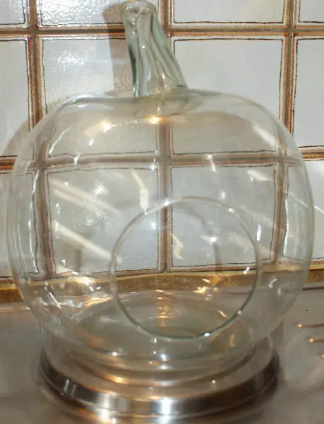 Planzen Glas Apfel 26x33 cm