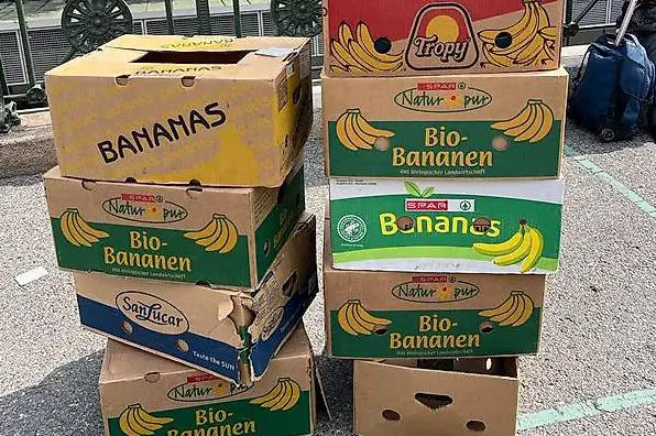 Umzugskisten abzugeben