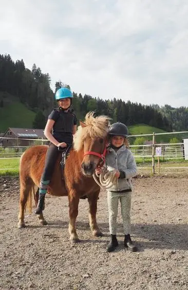 Reitbeteiligung für Pflegepferd in Signau im Emmental