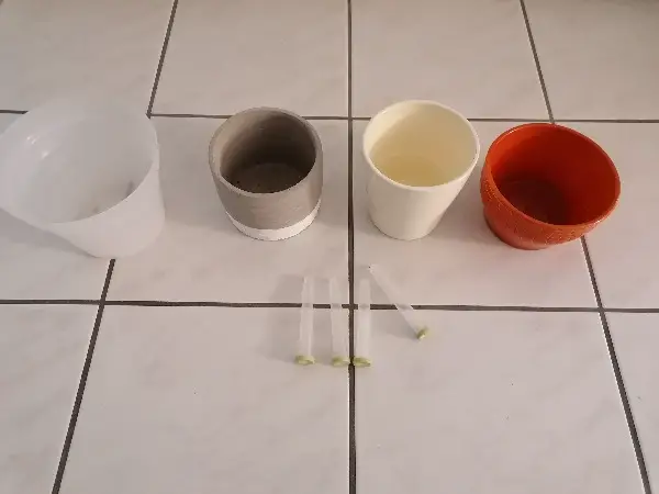 Blumentpfe + Plastik