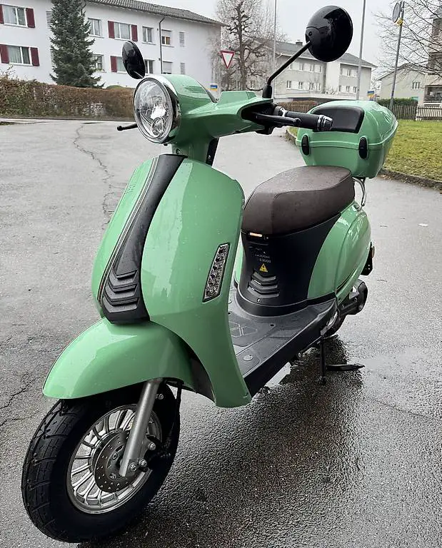 E-Roller NEU Luxxon E3000 Fresh Mint