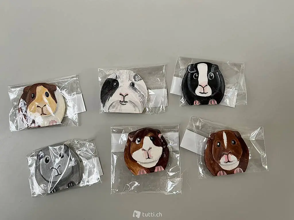 Calamite di legno con Porcellini D"india