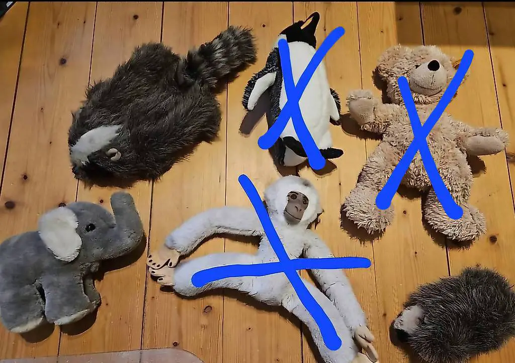 Steiff Plüschtiere teilw NEU, Folkmani Waschbär