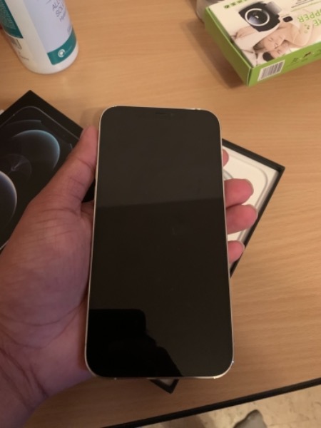 iPhone 12 Pro Max 256 Gb