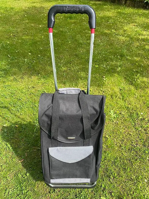 Einkaufswagen, Einkaufswägeli, Trolley